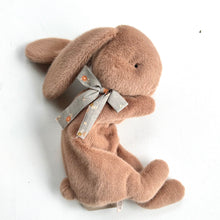 Load image into Gallery viewer, Sleepy Bunnies
